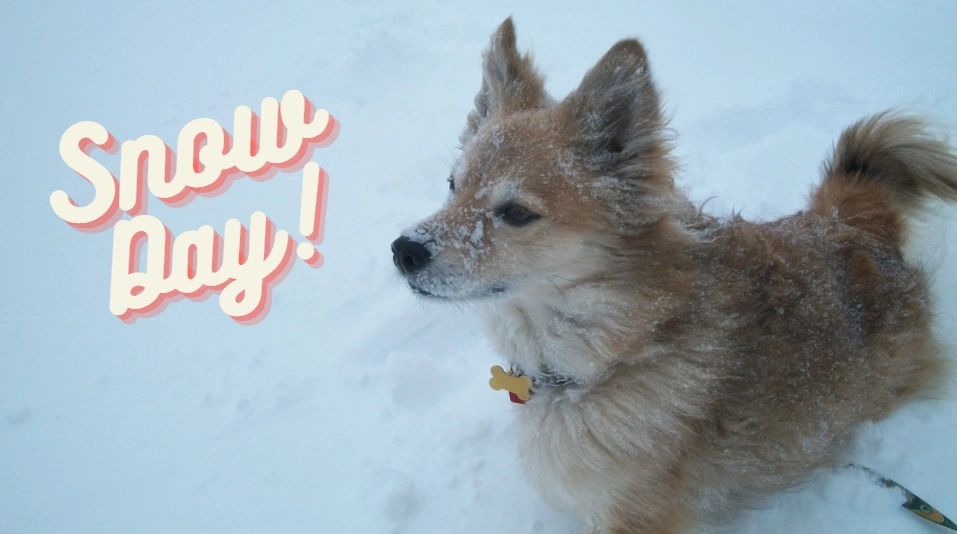 Quilt & Embroidery Shop in Plymouth, WI at The Sewing Basket